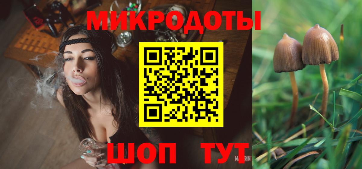 Иваново  Галлюциногенные грибы Psilocybe  Галлюциногенные грибы мухоморы  Вход с VPN 